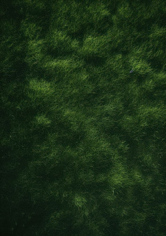 Green grass texture